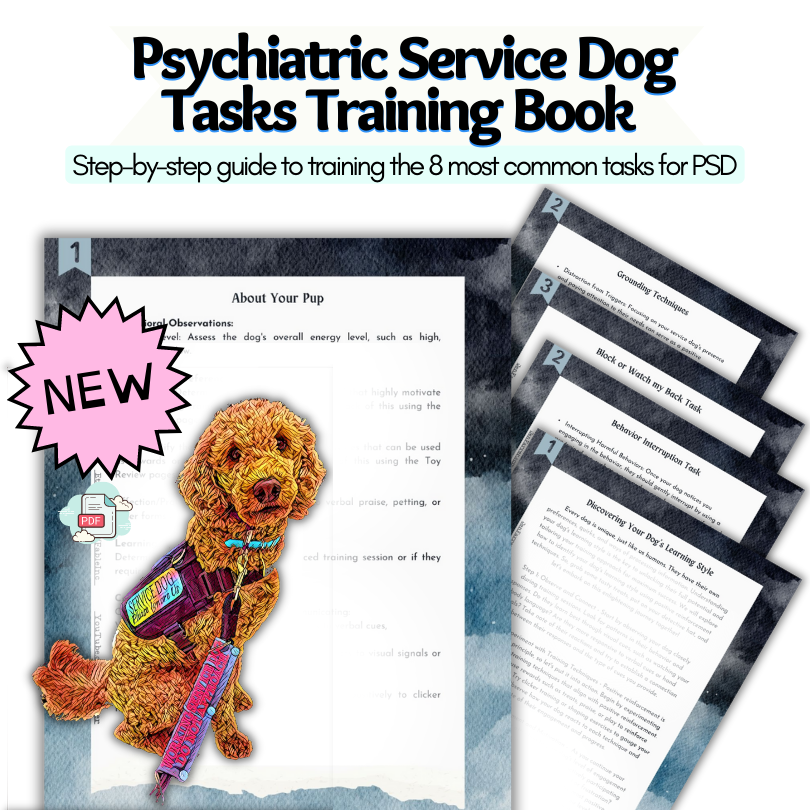 PTSD Service Dog Training #PTSD #Servicedogssavelives