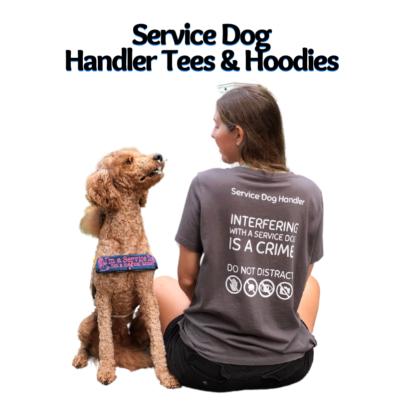 Service Dog Must Haves!