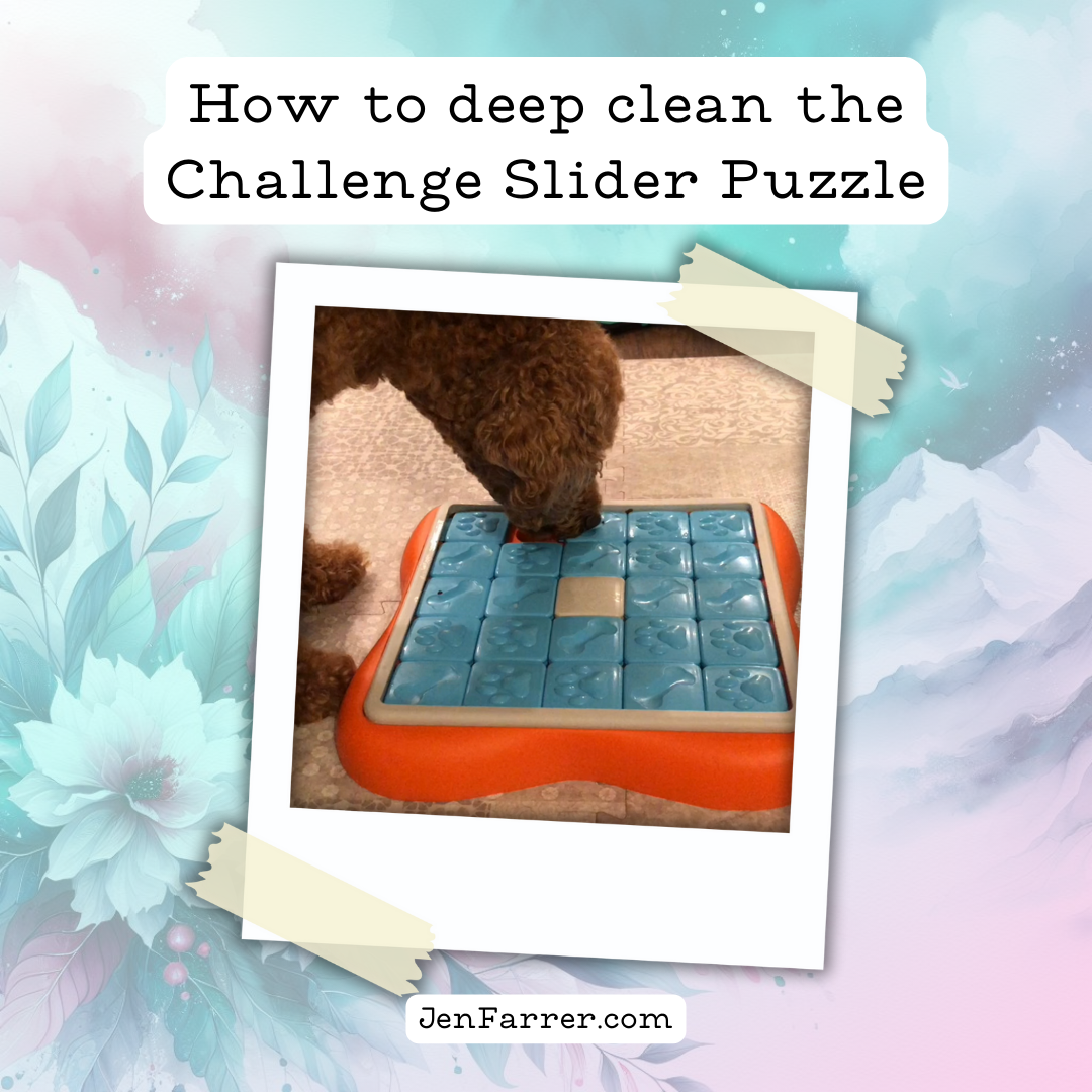 How to clean challenge slider dog puzzle from outward hound