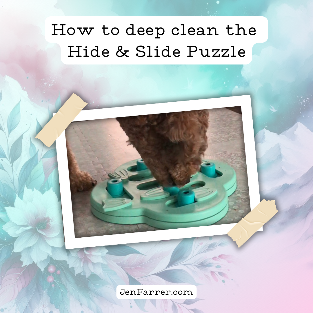 How to clean puppy hide and slide dog puzzle from outward hound