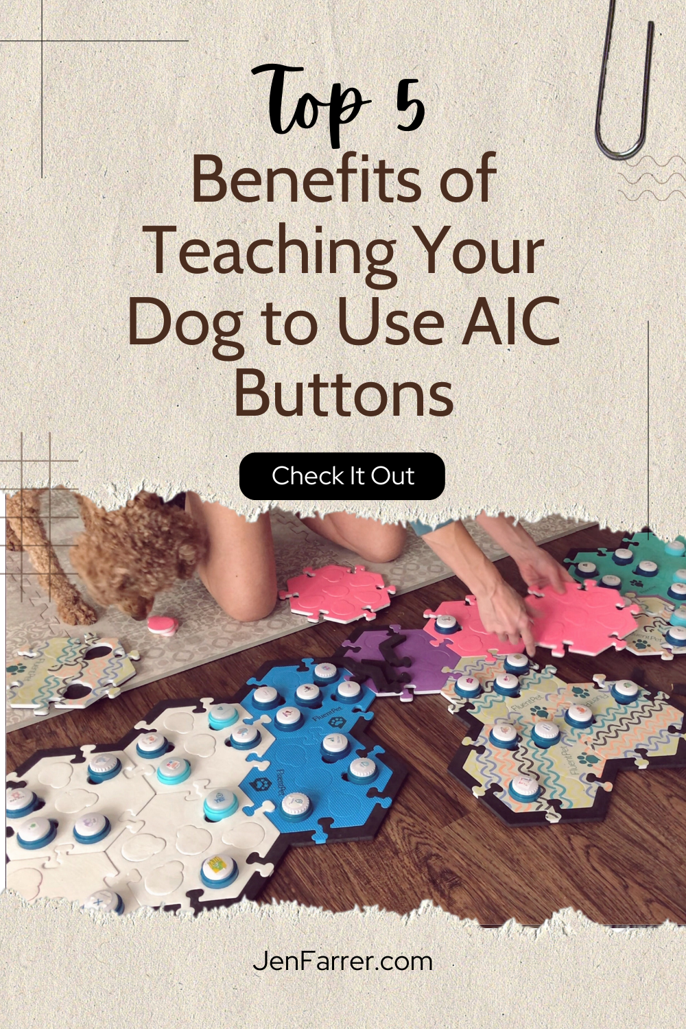 Teaching your dog or cat to use AIC buttons is more than just a fun trick—it’s a powerful tool that enriches their life and enhances your relationship. By giving them a voice, you’re opening up a whole new world of communication and understanding. From reducing frustration to boosting their confidence, the benefits are endless. Ready to start the journey of communicating with your pet? My AIC book is packed with step-by-step guidance to help you teach your dog or cat to use buttons. Support your pet's communication and purchase the book or explore my AIC teacher planner today!