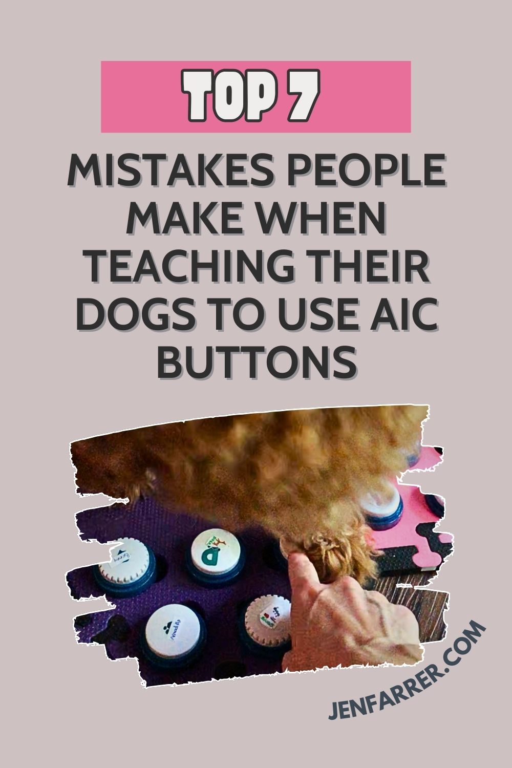 Dog pressing communication button during AIC training