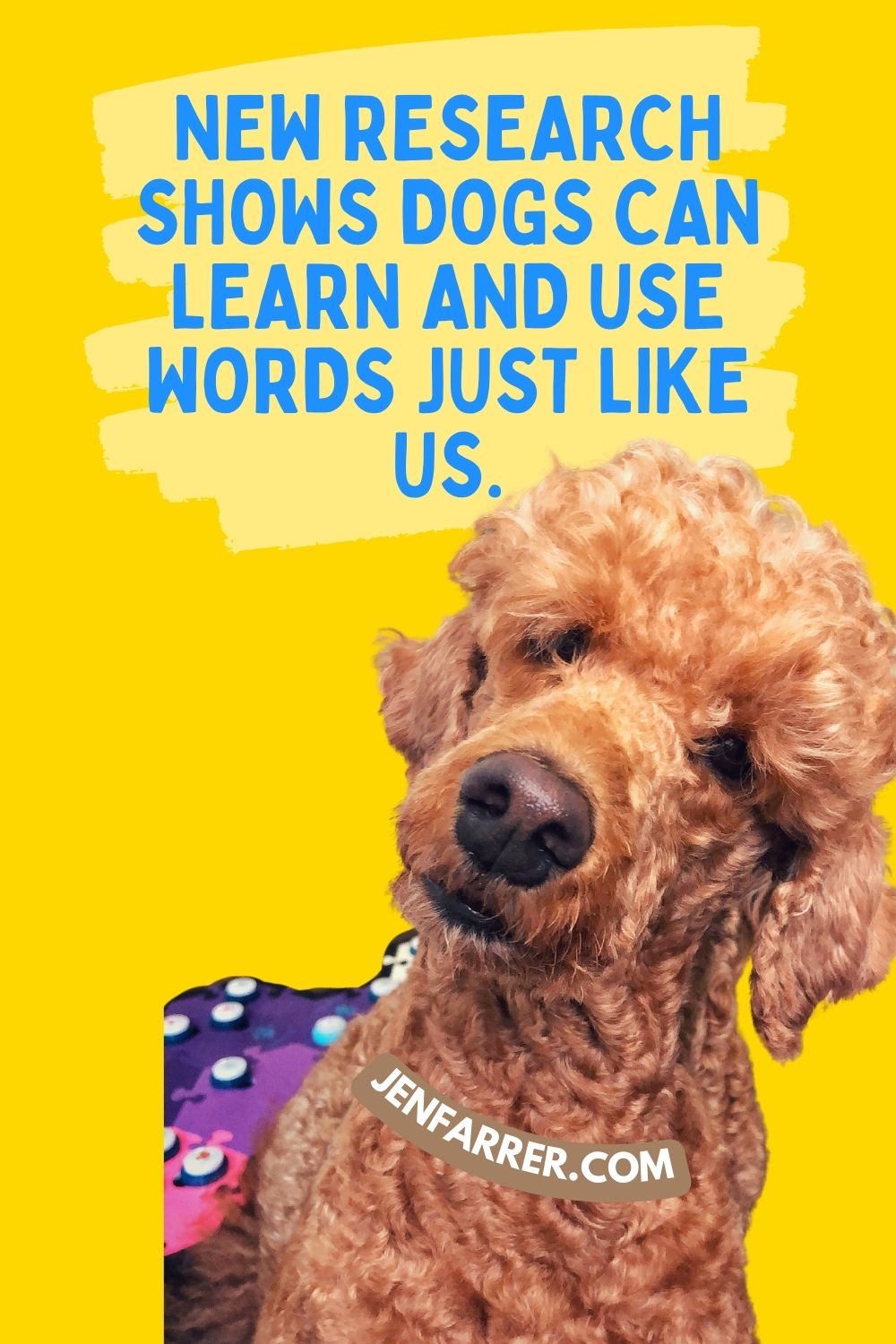 Dogs have always understood us, but now they can tell us what they’re thinking—science finally proves it." Explore the research that’s making it possible for dogs to express themselves through words.