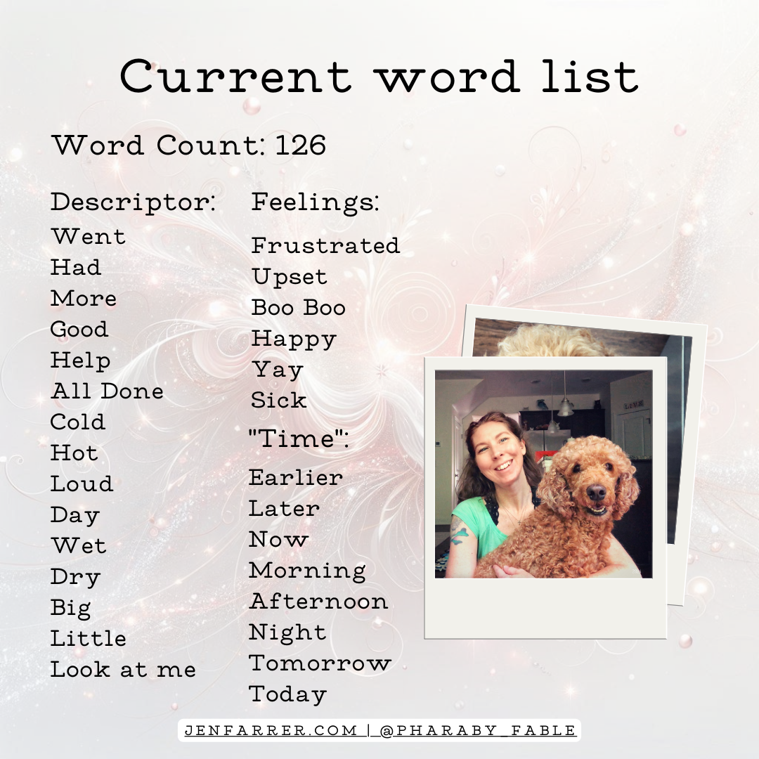 Current word list 8_2024 update (2)