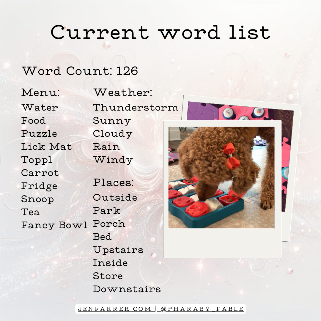 Current word list 8_2024 update (5)