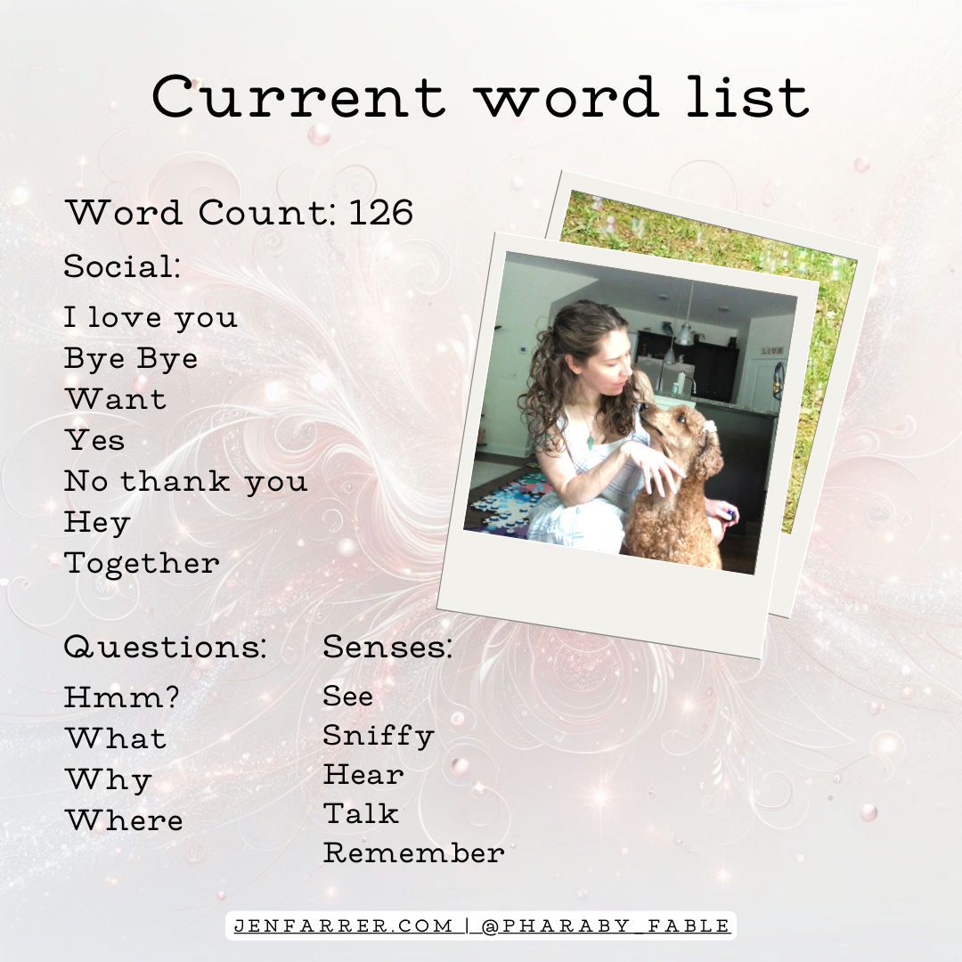 Current word list 8_2024 update (7)