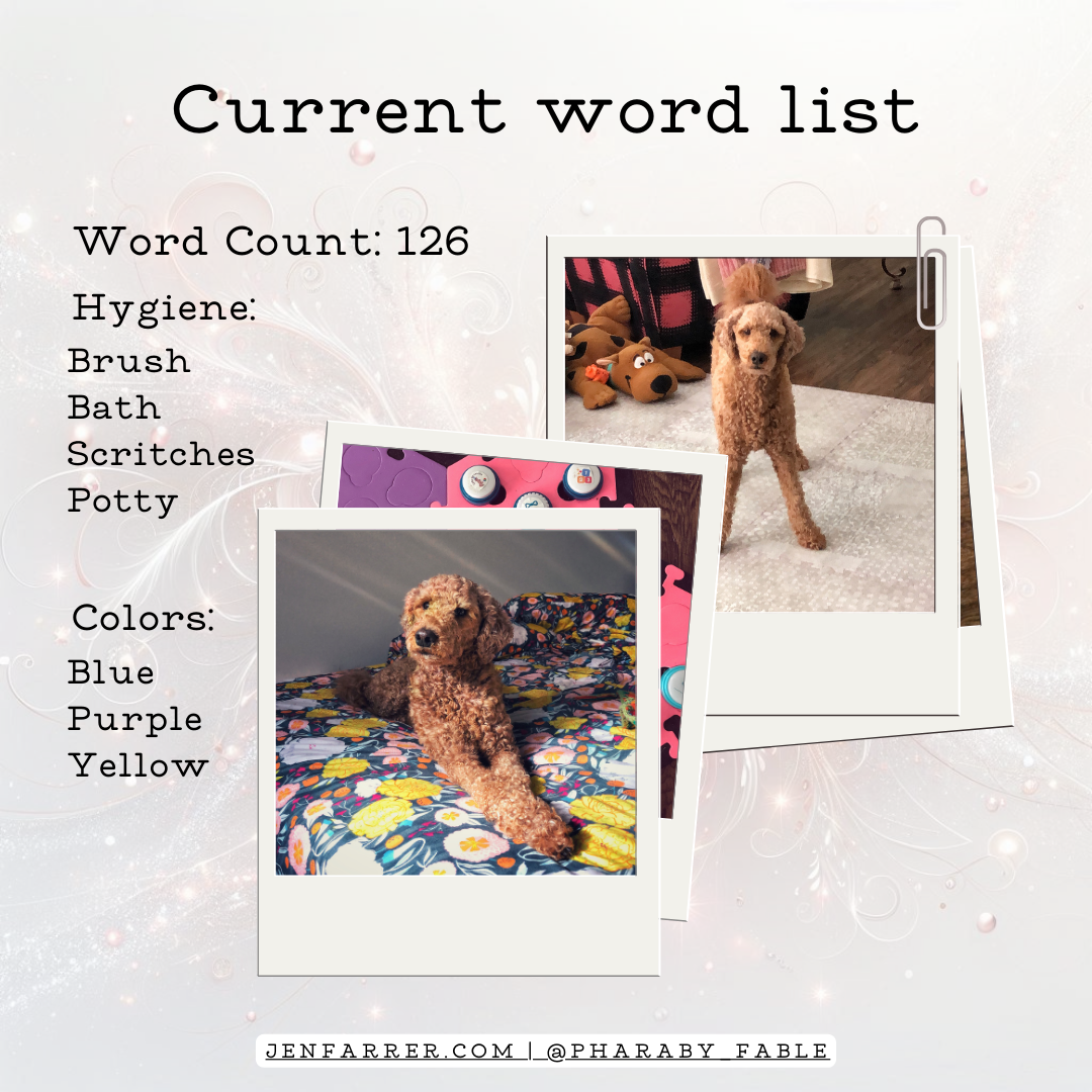 Current word list 8_2024 update (8)