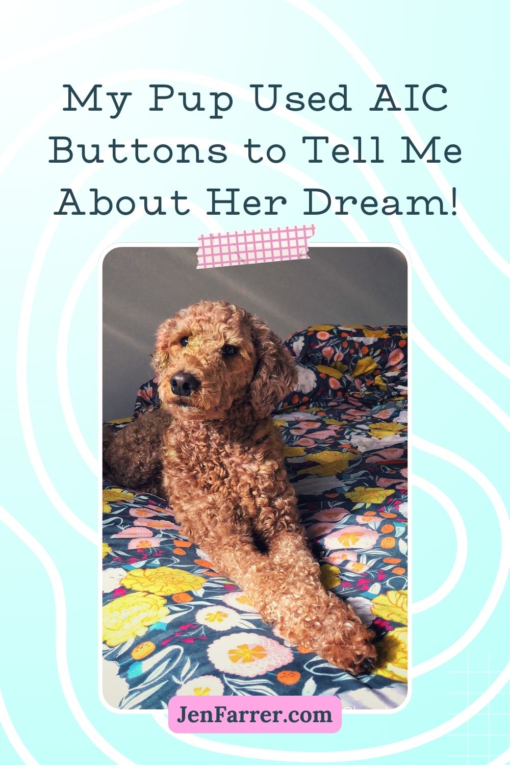 Dog laying on bed with text 'My dog told me about her dream' using an AIC button for communication.