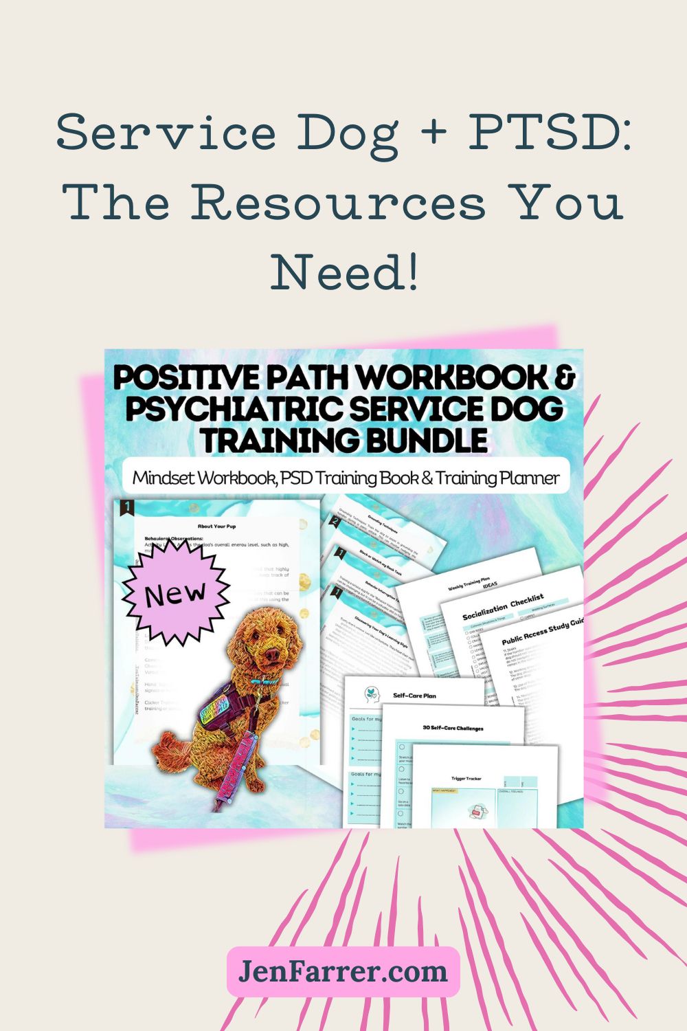 If you’re navigating life with PTSD and a service dog, read my story with Pharaby and find the support and resources you need!