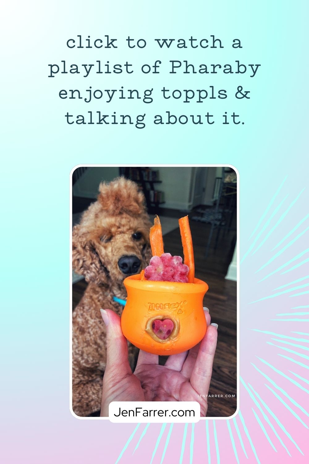 Did you know you can turn the Toppl into an interactive puzzle for your dog? By connecting two Toppls together, you create a rolling feeder that makes mealtime a fun challenge! Check out my blog post to learn how to use this enrichment toy to keep your dog entertained. #dogpuzzles #dogenrichmenttoys #doglover