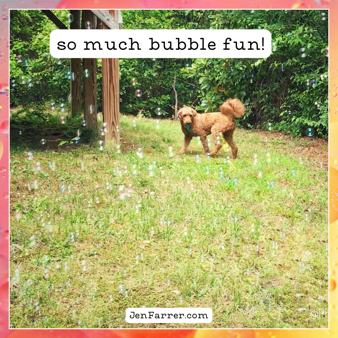 Discover the joy of blowing dog-safe bubbles for your furry friend! This outdoor activity is fun, safe, and a great way to keep your dog active. dog-safe bubbles, fun dog activities, dog enrichment, outdoor play for dogs, bubble play for dogs