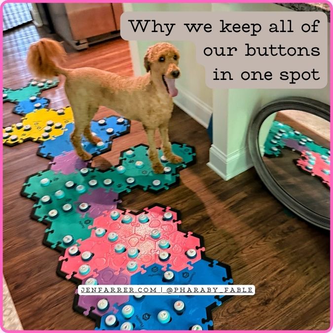 Pharaby the red standard poodle using her AIC button board to communicate with 130 words