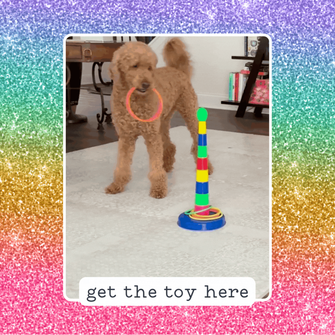 Images for JenFarrer.com Website AIC Page Service Dog Resources